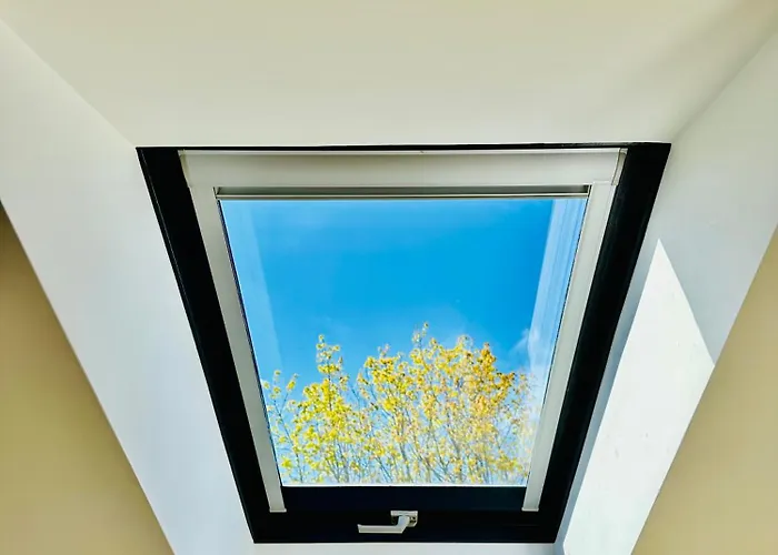 Апартаменты Dolce Паланга